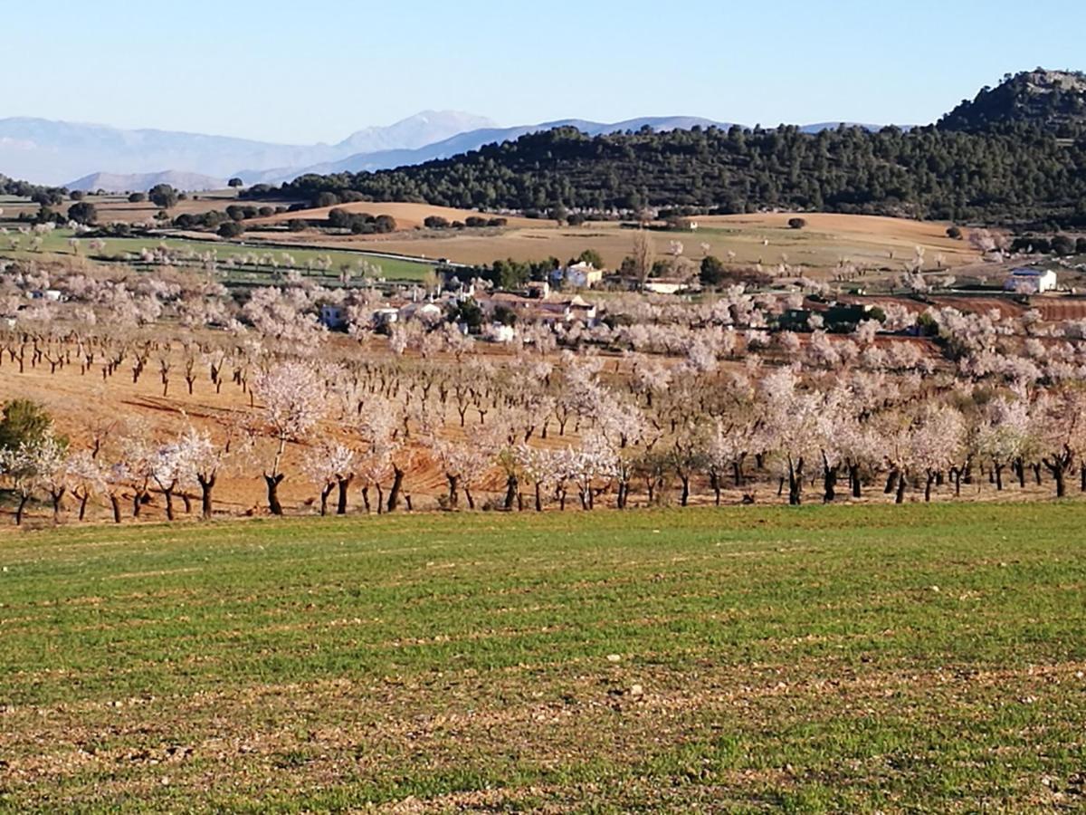 Cortijo Los Soledad El Sauco Esterno foto