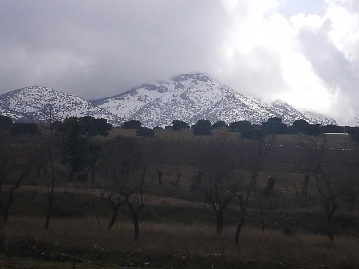 Cortijo Los Soledad El Sauco Esterno foto