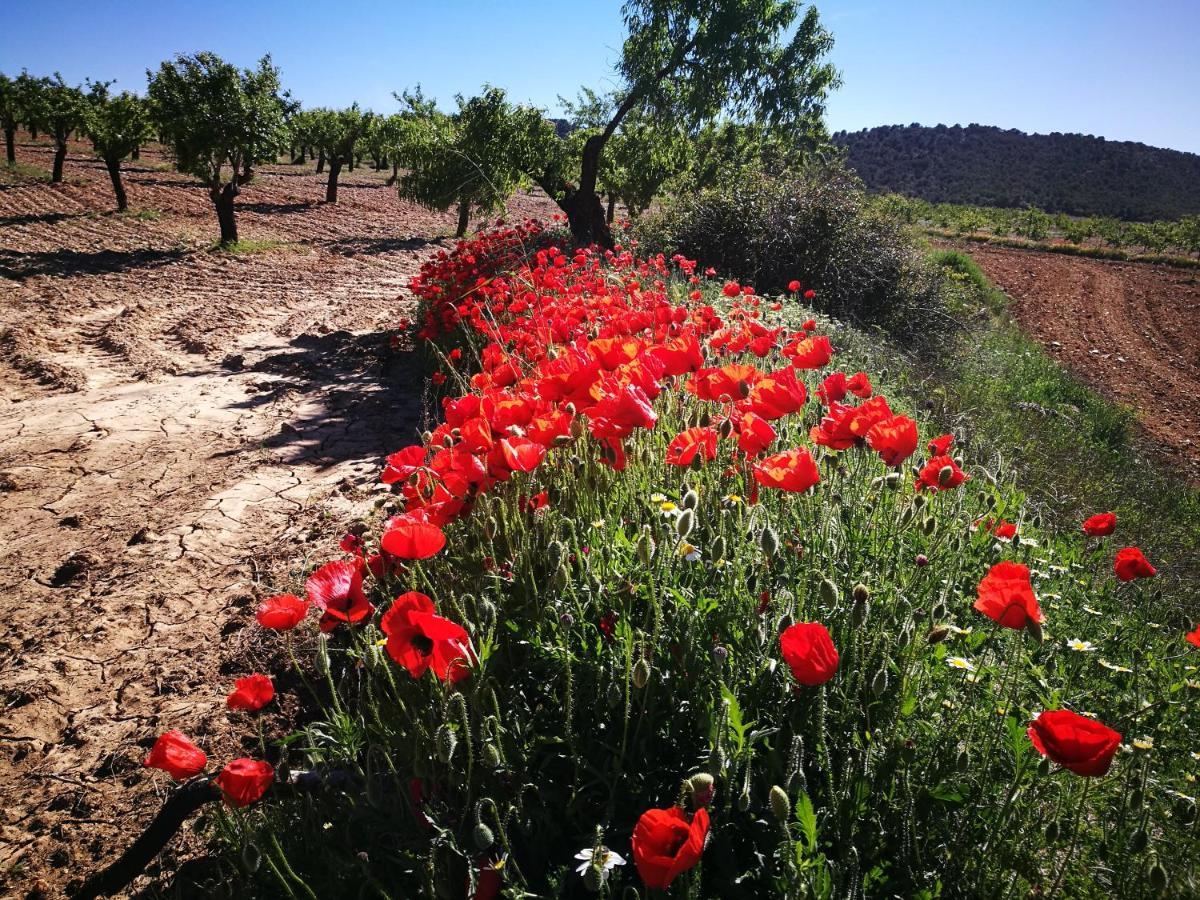 Cortijo Los Soledad El Sauco Esterno foto