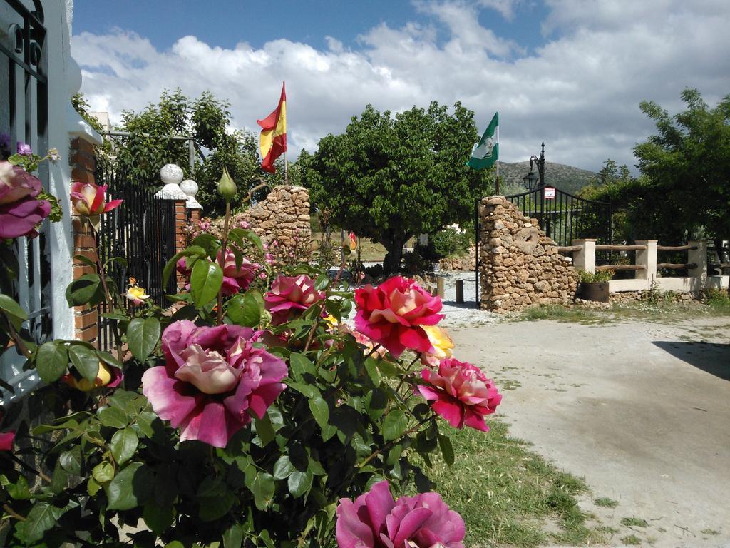 Cortijo Los Soledad El Sauco Esterno foto