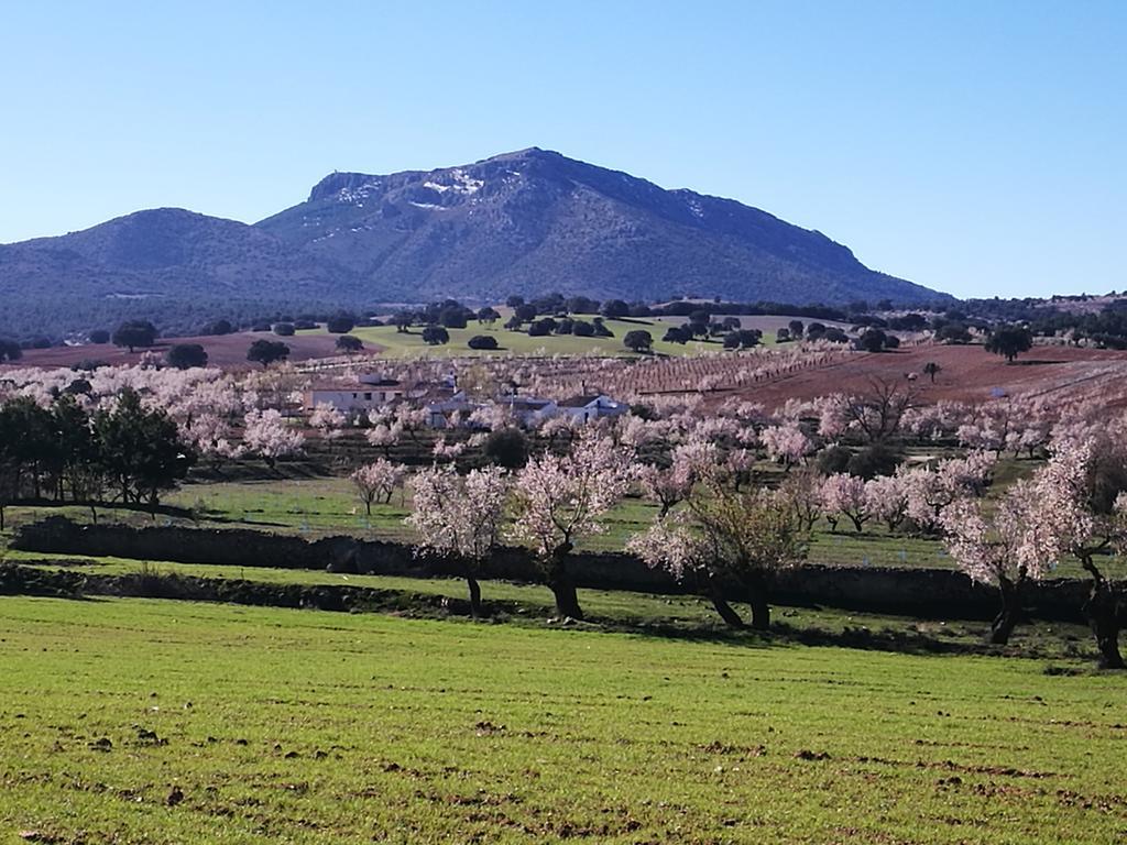 Cortijo Los Soledad El Sauco Esterno foto