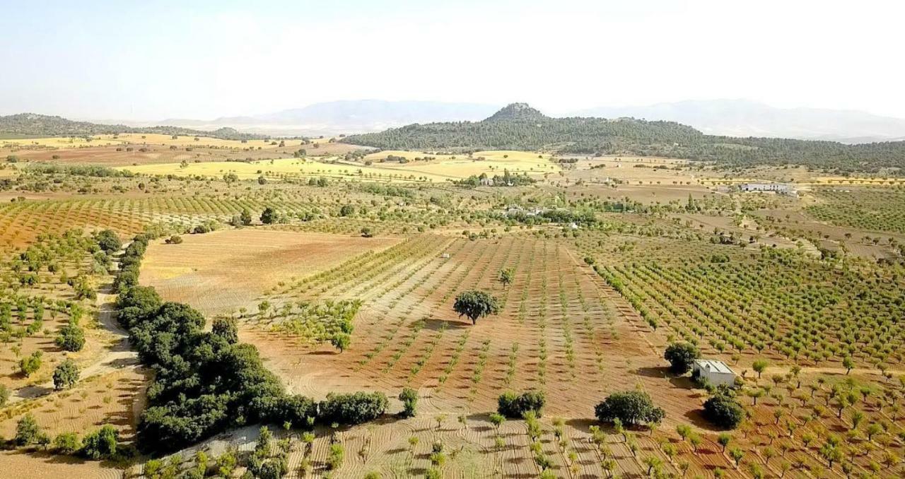 Cortijo Los Soledad El Sauco Esterno foto